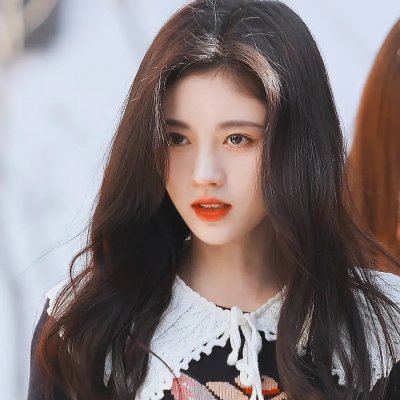 小狗丹的物语